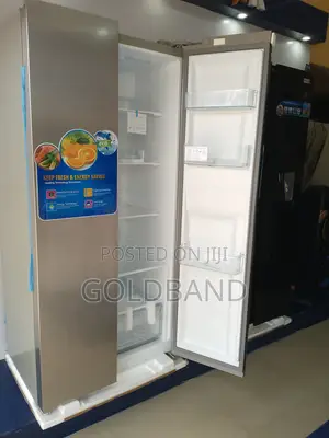 A Strong Polystar Fridge (Pv-Sbs666wd-Inv 436L)