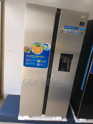 Strong and Efficient Polystar "Pv-Sbs666wd-Inv" 436L Fridge