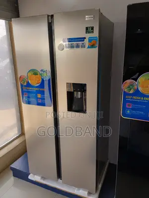 Relieble "Pv-Sbs666wd-Inv" 436L Polystar Fridge