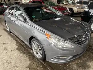 Hyundai Sonata 2013 Gray