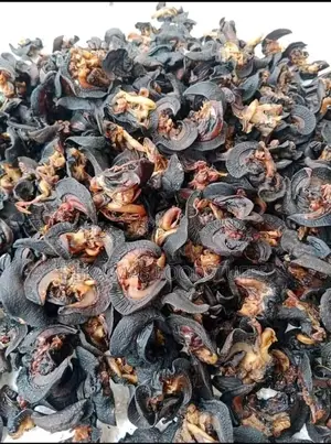 Oven Dried Snail