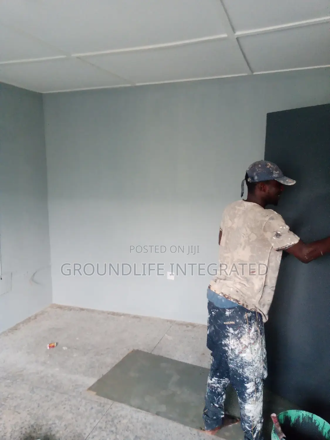 Professional Painter