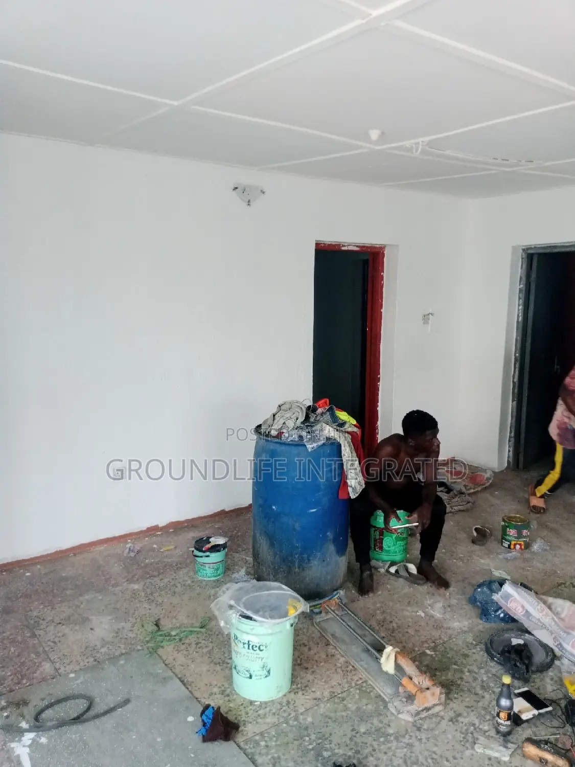 Professional Painter