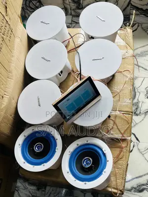 Bose Ceiling Speaker With One Inwall Alexa