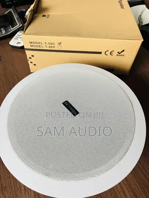 Tundra 50watts Passive Ceiling Speaker