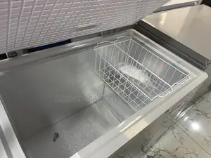 300 Litres Skyrun Chest Freezer