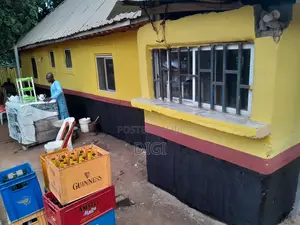 Professional Painter