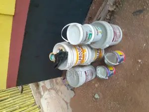 Professional Painter