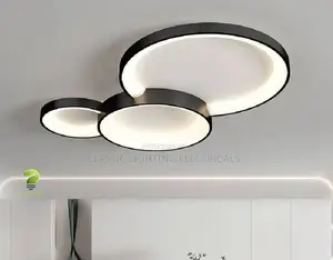 Black Gray White Iron Ceiling Lamps Living Room Light