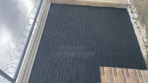 Exterior Best Paint Gravitex