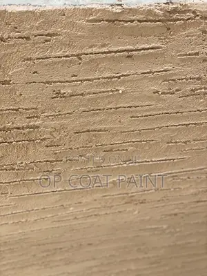 Exterior Best Paint Gravitex