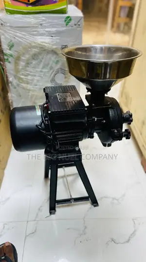 Stainless Electric Grinder Machine Wet and Dry