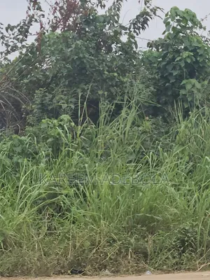 Land for Sale at Osborne Foreshore Phase 1 Ikoyi Lagos