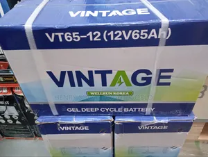 12v 65ah Gel Battery Vintage