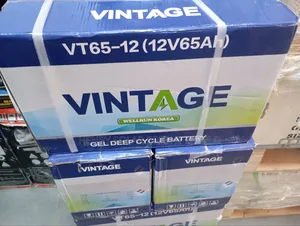 12v 65ah Gel Battery Vintage