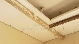 ESP Ceiling, Wall Belt And Columns
