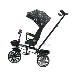 Outdoor and Indoor Tricycle With Canopy