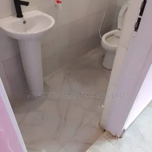 Professional Cleaners Services