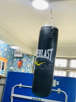 Original Everlast Big Punching Bag