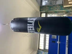 Original Everlast Punching Bag