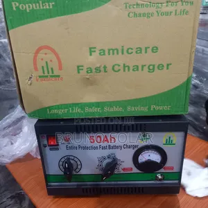 50ah FAMICARE Solar Battery Charger