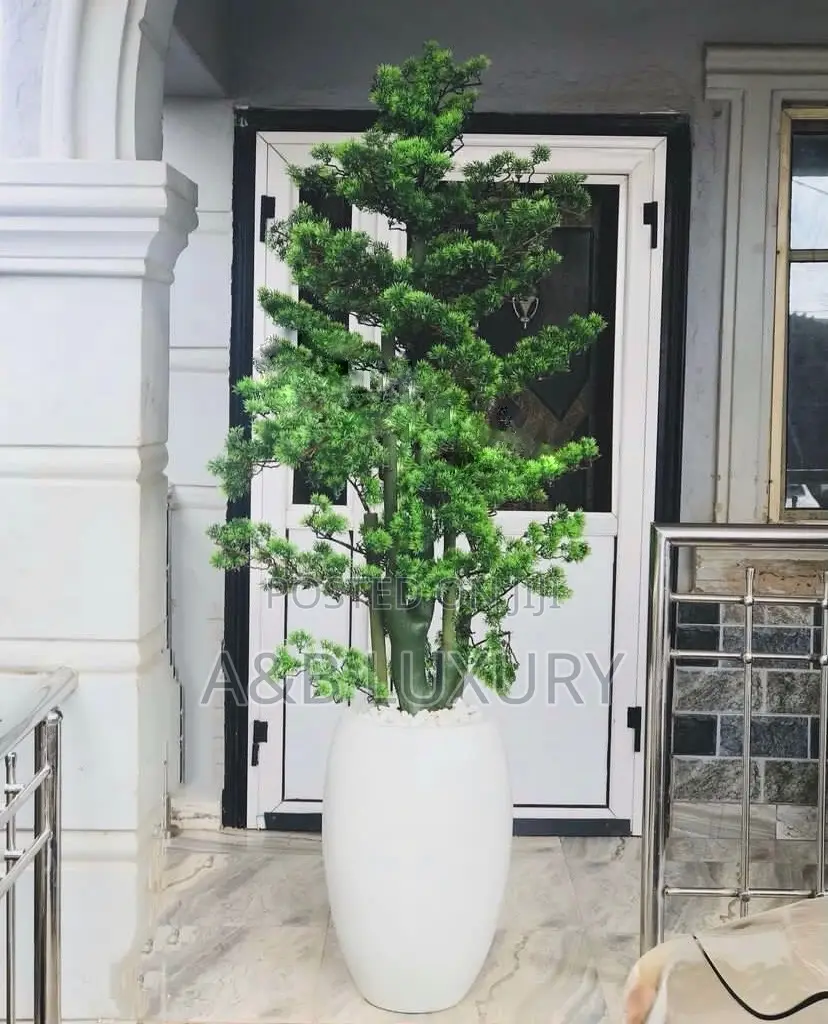 Artificial Bonsai Plant Available