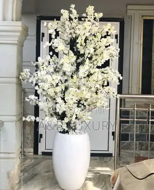 Cherry Blossom Tree