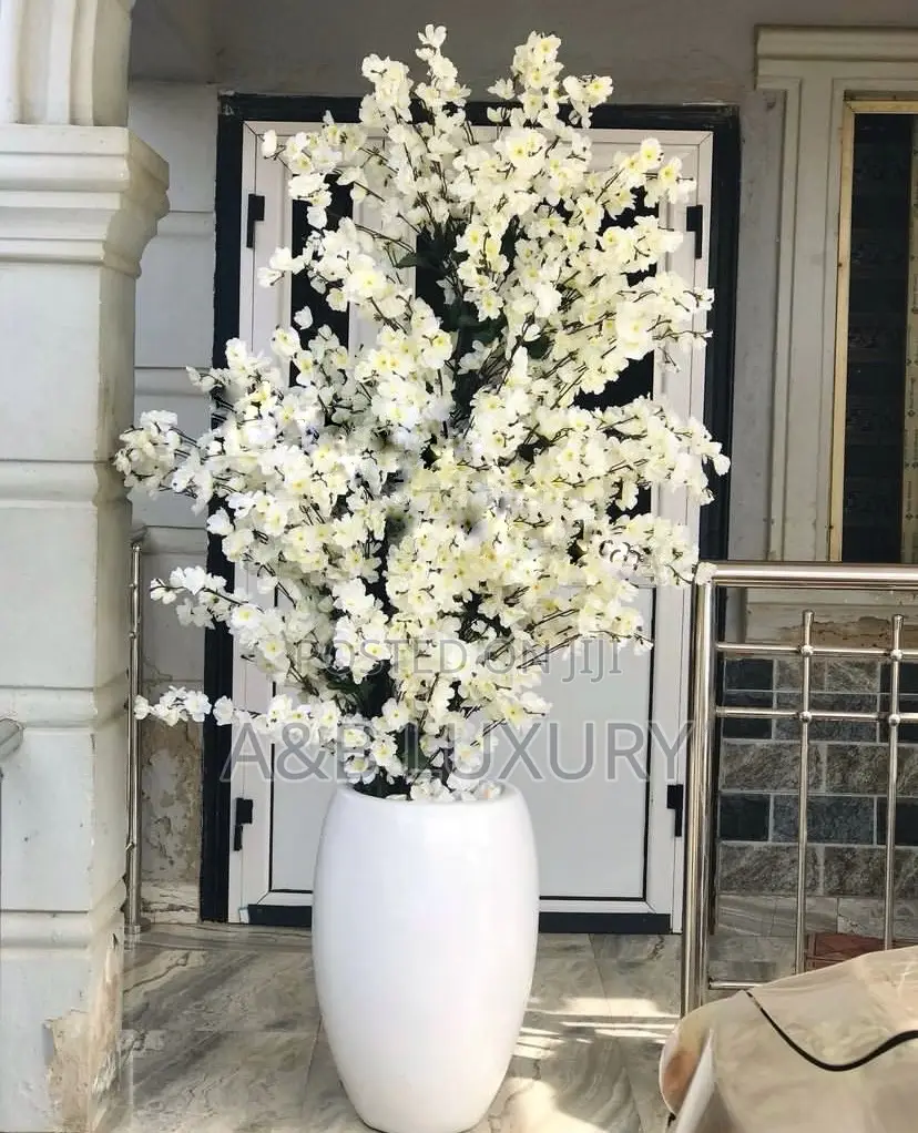 Cherry Blossom Tree