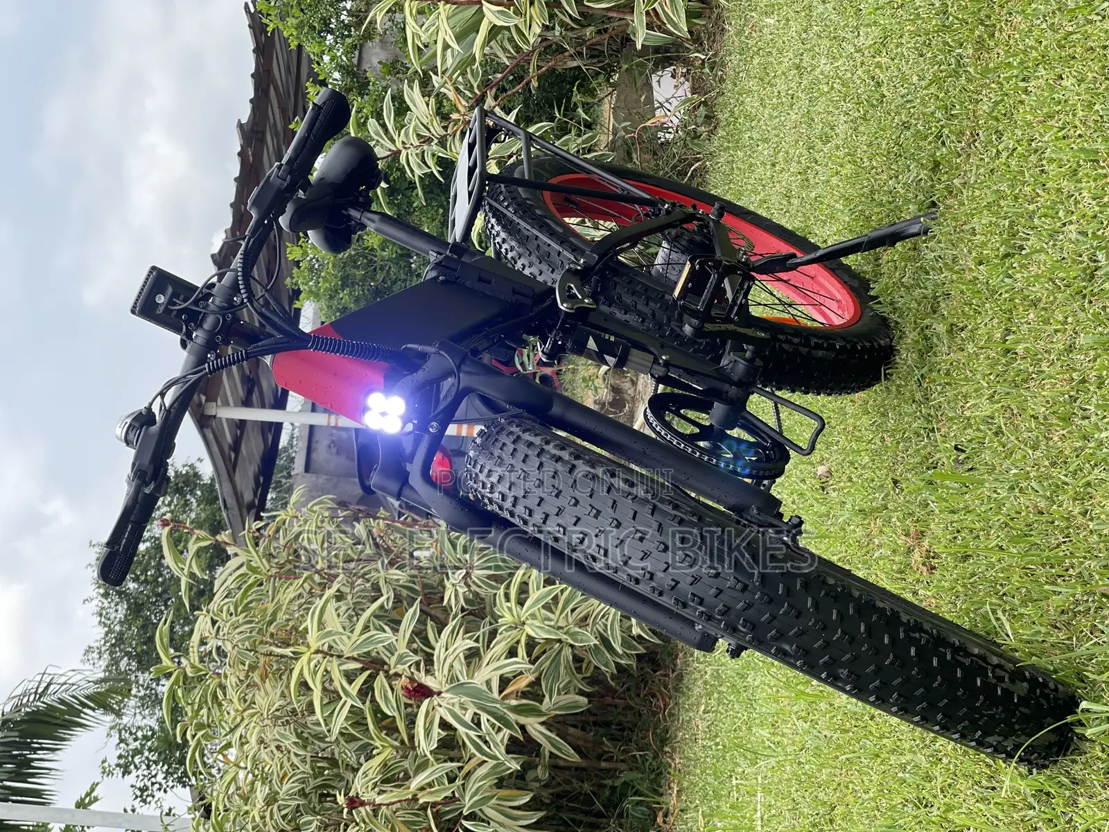 Foldable Electric Bike / E Bike