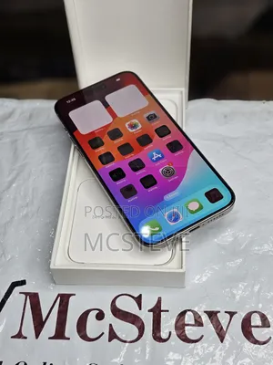 Apple iPhone 15 Pro Max 256 GB Gray