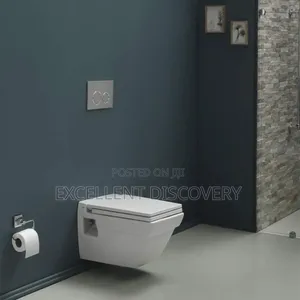 Conceal Square Water Toilet 