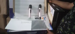 Professional Wireless Mic
