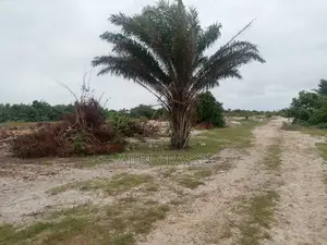 Photo - Plot of Land for Sale at Ibeju Lekki