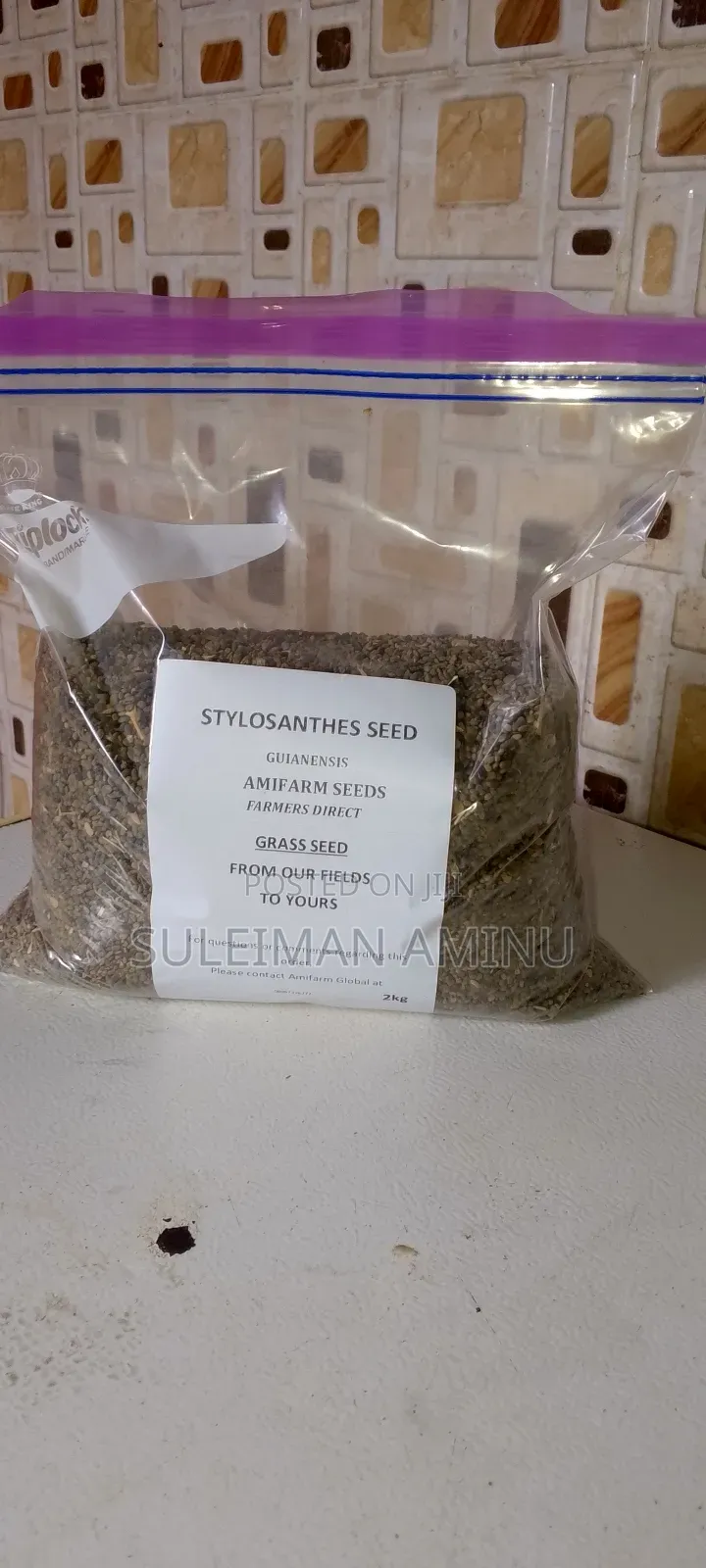 Stylo Grass Seed