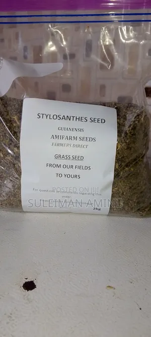 Stylo Grass Seed