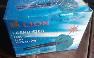 Lion Electric Air Blower