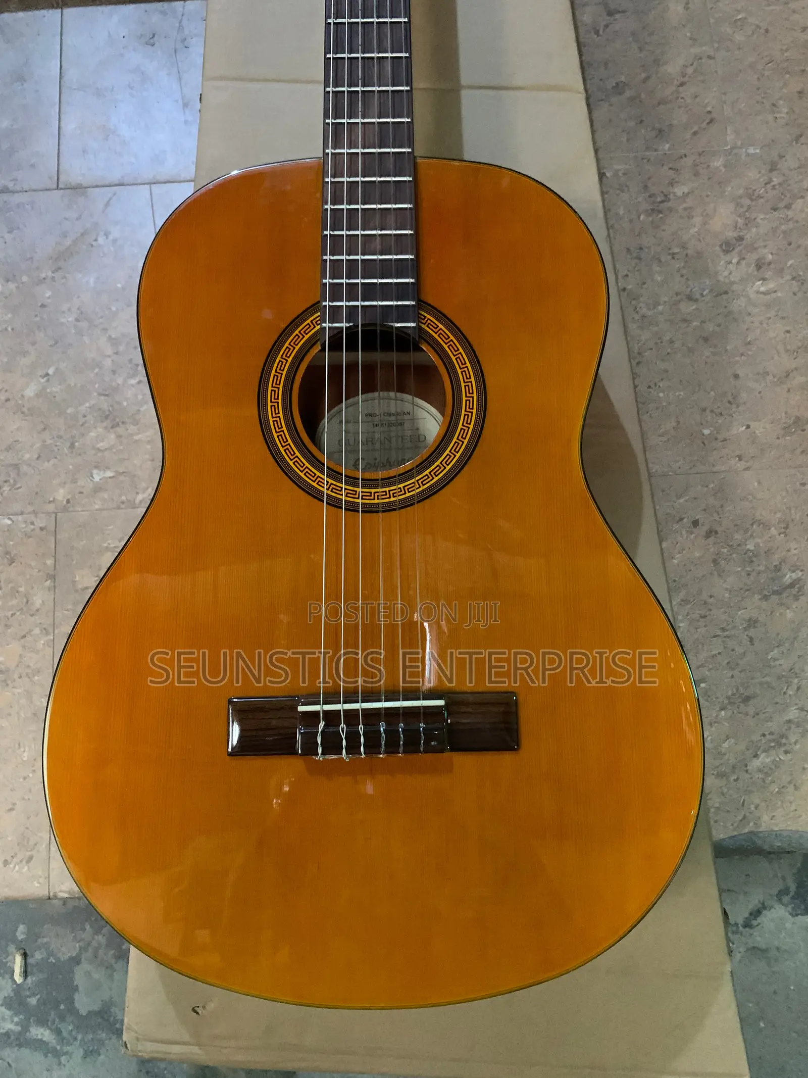 Quality Epiphone Pro 1 Classic AN Classical Guitar