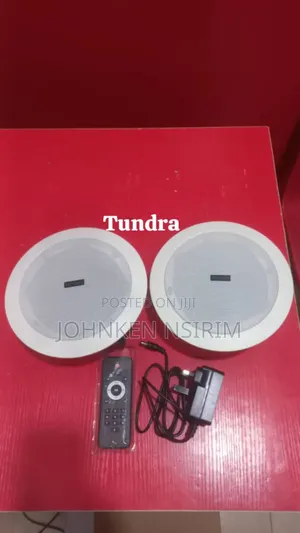 Tundra 2in1 Bluetooth Celine Speakers Wit Remote