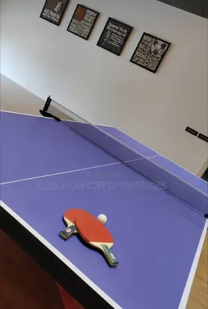 Fun Engaging Outdoor Outdoor Water Resistance Table Tennis