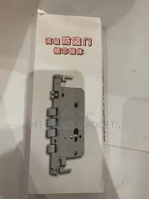 Smart Door Lock Mortise