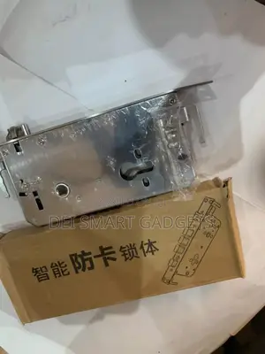 Smart Door Lock Mortise