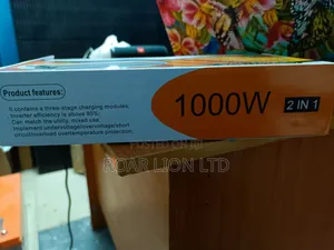 Inverter Charger 1000w 12V