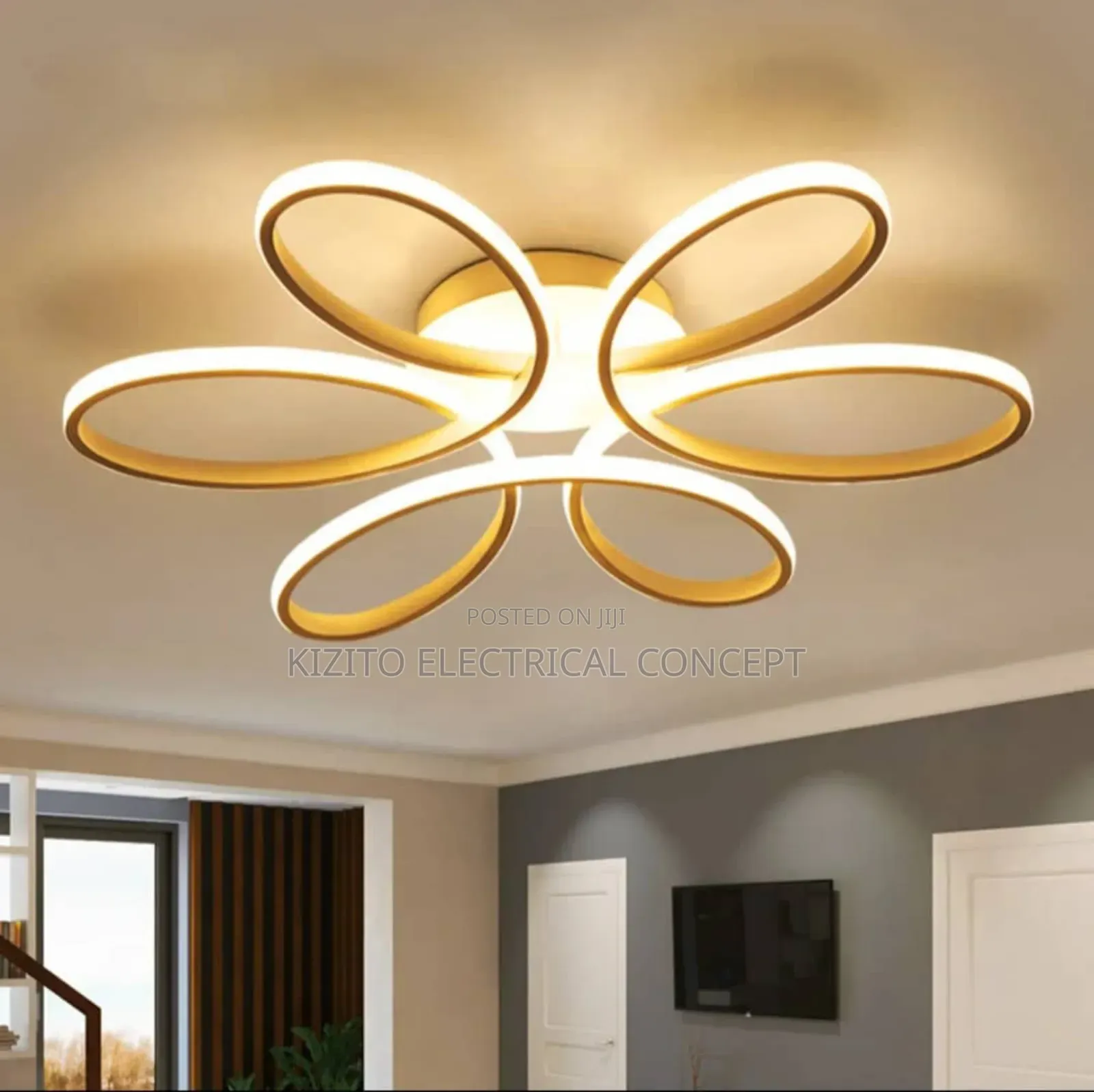 Minimalistic Ceiling Fitting Lamp Decor