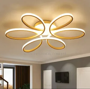 Minimalistic Ceiling Fitting Lamp Decor