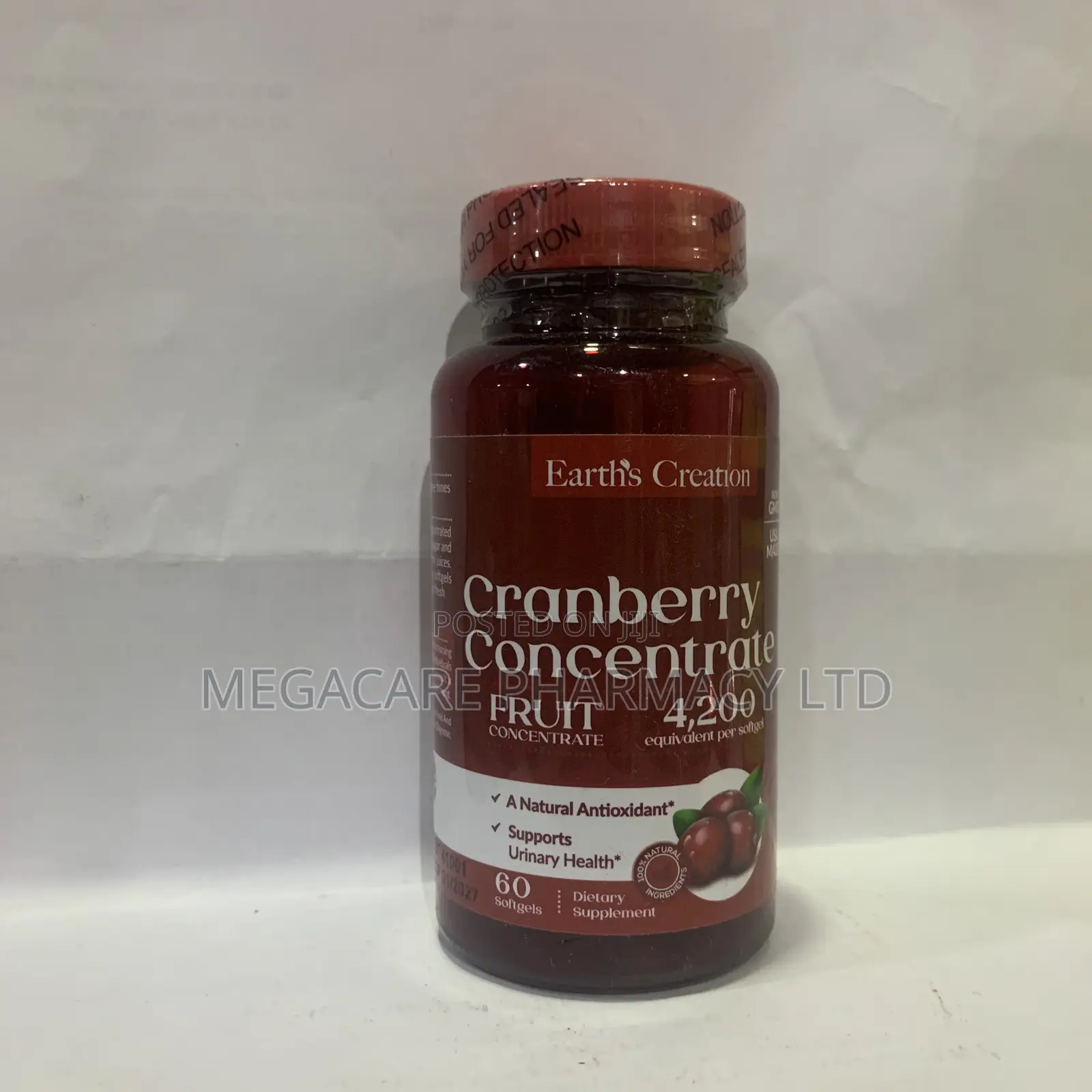 Cranberry Concentrate Fruit