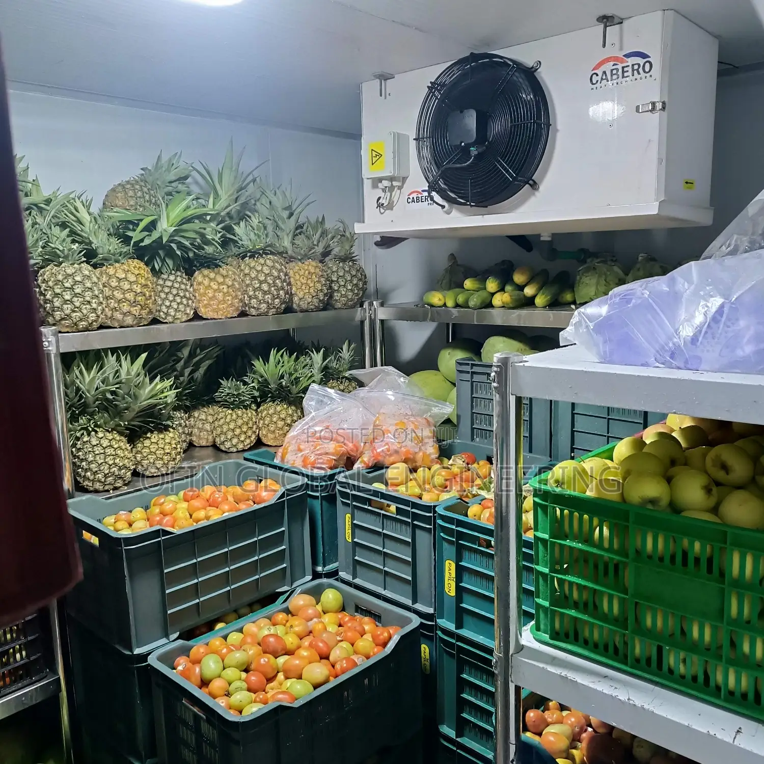 Storage Cold Room / Blast Freezers