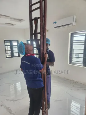 Professional Cleaners