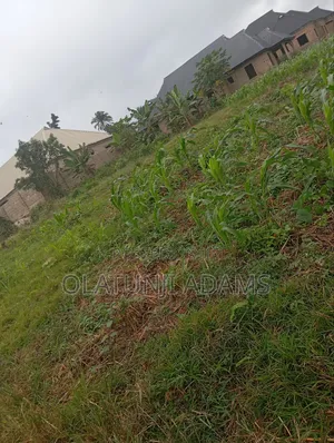 Standard 2plot of Land at Onioba Area