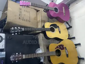 Fender Acoustic Guitars