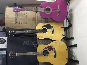 Fender Acoustic Guitars